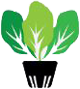 hydroponic